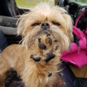 Meet your Posher, Denise